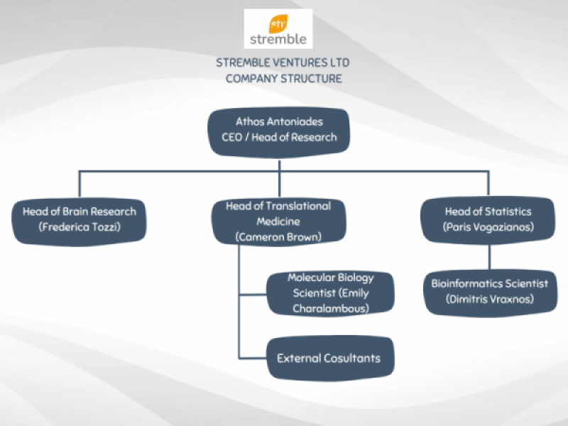 Stramble-Co-mgt-structure-(800-X-600).png